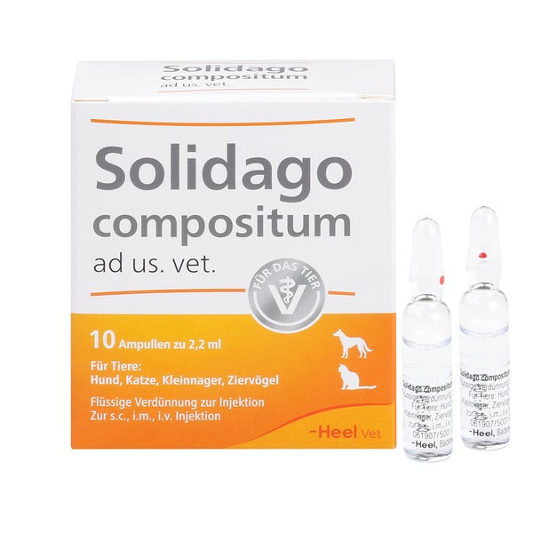 Solidago Comp Ad Us Vet 10 St