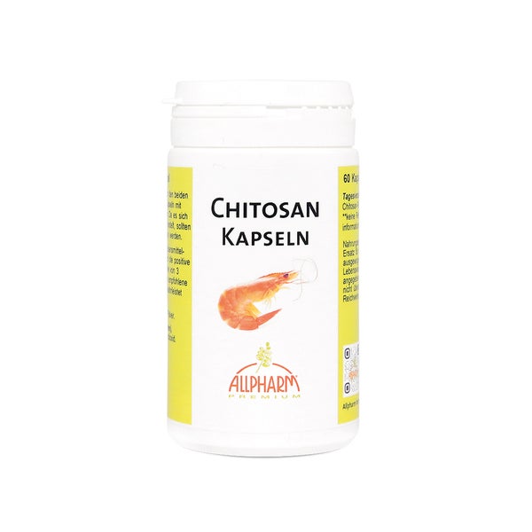 Chitosan 500mg Kapseln 60 St