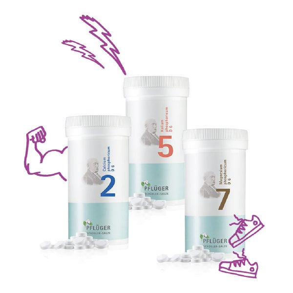 Energie-Plus- Set von Pflüger 1 Set