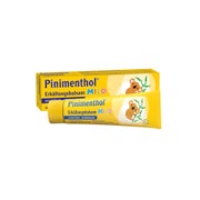 Pinimenthol Erkältungsbalsam Mild 50 g