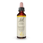 Bachblüten Gorse Tropfen 20 ml