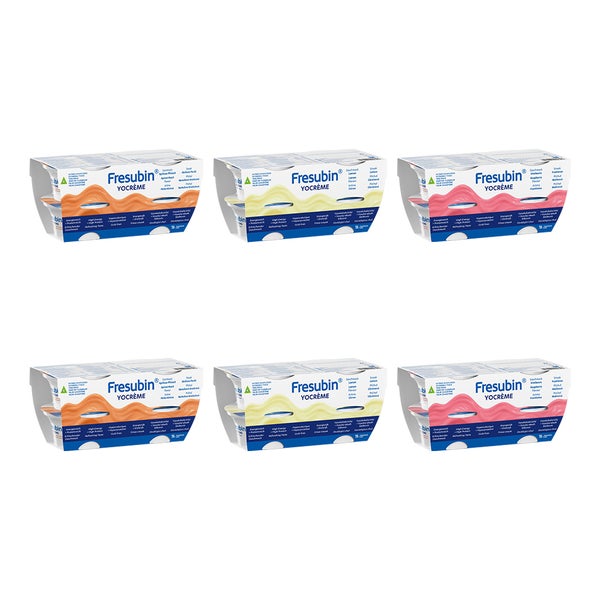 Fresubin Yocreme Mischkarton 24X125 g