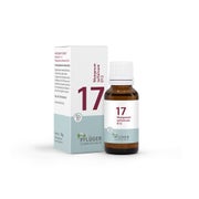 Biochemie Pflüger Glo Nr.17 Manganum Sulfuricumd12 15 g